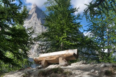 Wooden bench betwwen trees in Italian Alps. Image slightly processed with hdr technique clipart