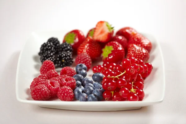Čerstvé letní plody — Stock fotografie