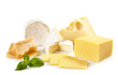 různé druhy sýrů