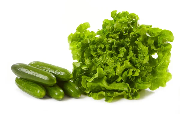Saláta, uborka — Stock Fotó