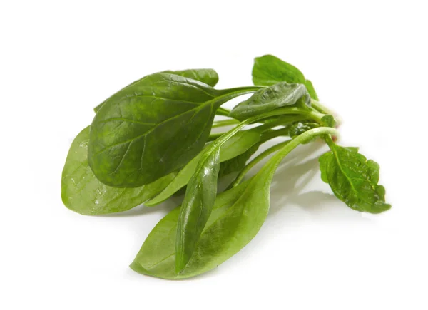 Fresh spinach — Stock Photo, Image