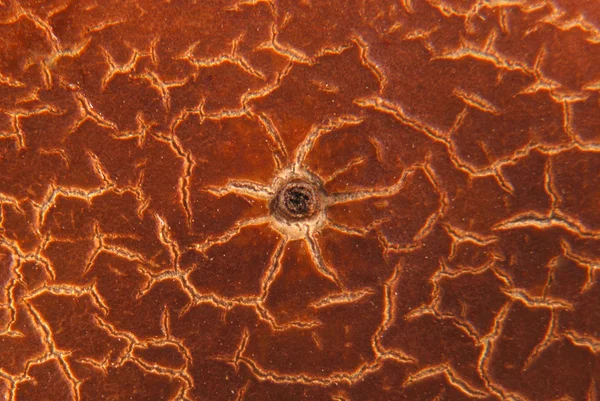 Cracky viejas texturas marrones —  Fotos de Stock