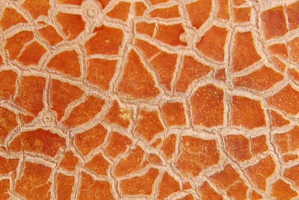 Cracky velhas texturas castanhas — Fotografia de Stock