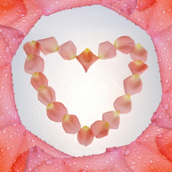 Heart shaped petals on grey — Stock Photo, Image