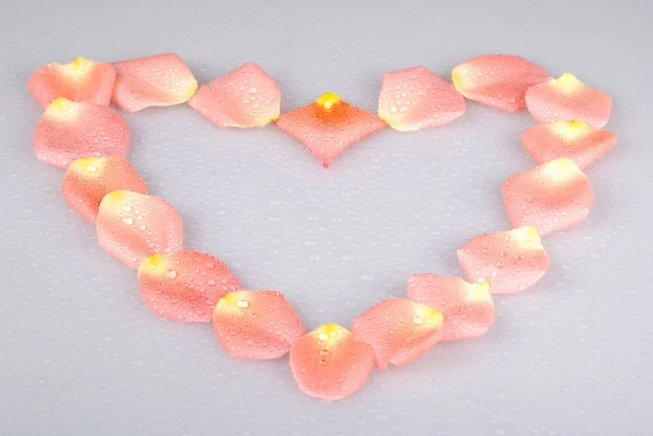 Pétalas em forma de coração em cinza com gotas de água — Fotografia de Stock