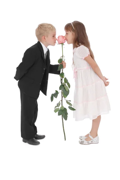 The boy and the girl smell a rose — Stock Photo, Image