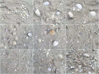 Texture of beach sea sand clipart