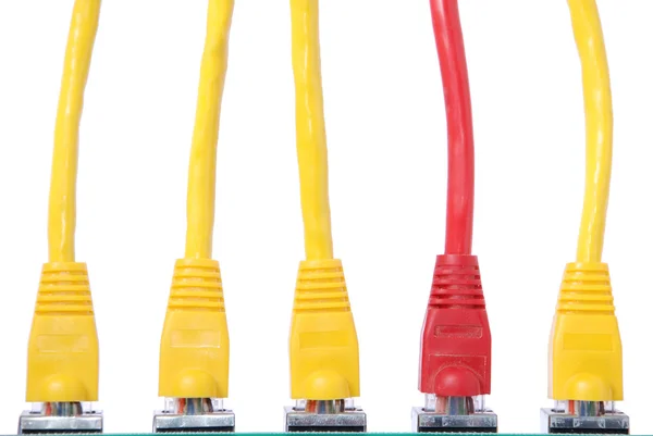 RJ45 network plugs red and yellow — Stock Photo, Image