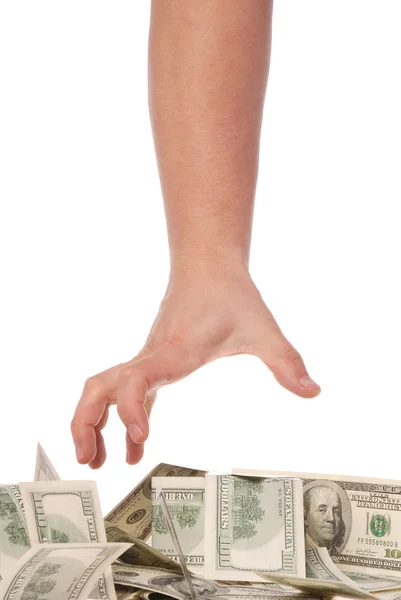 Рука держится на долларах — стоковое фото