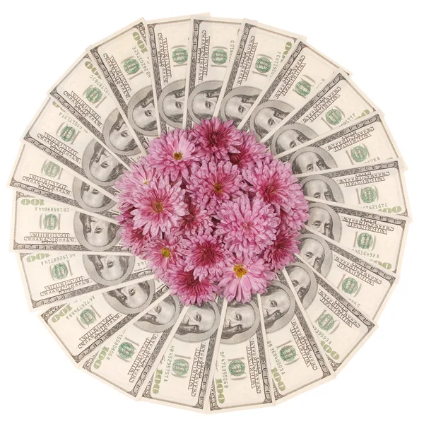 Daire üzerinde dolar. Merkezi çiçek — Stok fotoğraf