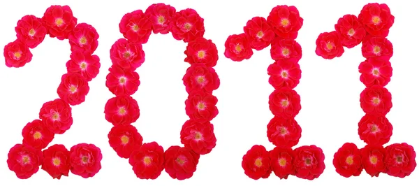 Year 2011. Number laid out by roses — Stock Photo, Image