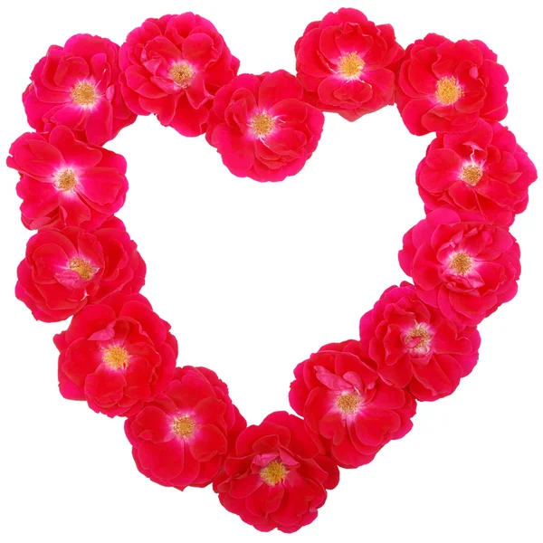 Valentines Day Rose Heart — Stock Photo, Image