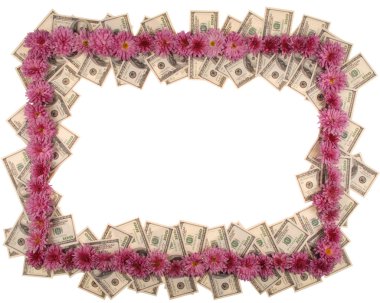 çerçeve yapılmış dolar ve çiçekler