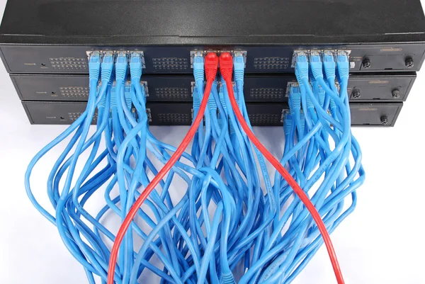 Kable sieciowe Piasta i patcha — Zdjęcie stockowe