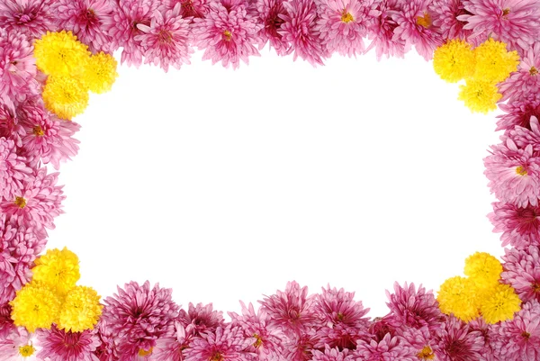 Floral frame op wit — Stockfoto