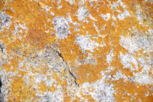 Brown structure of a granite — Stock Photo, Image