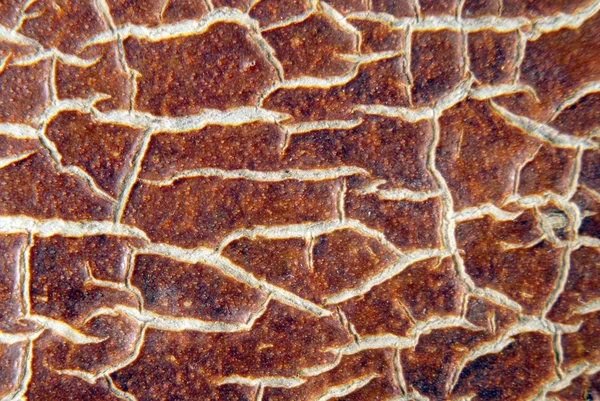 Cracky gamla bruna texturer — Stockfoto