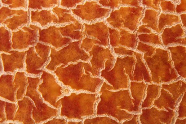 Cracky vecchie texture marroni — Foto Stock