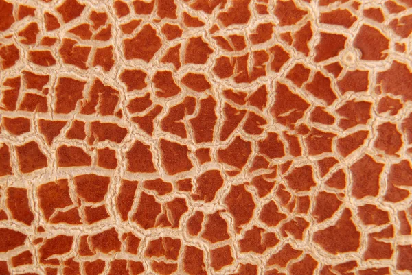 Cracked texture sfondo marrone — Foto Stock