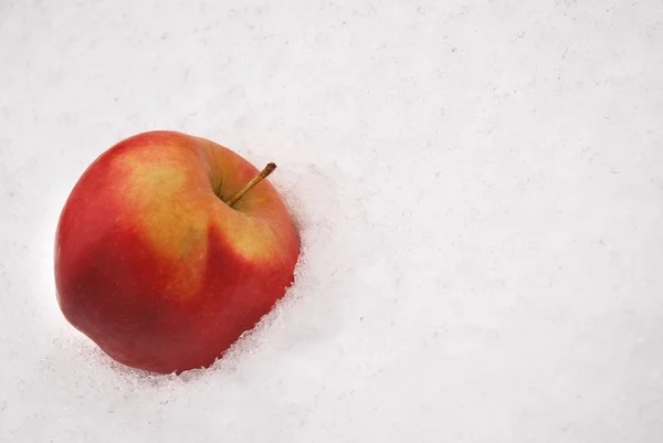 Яблоко Лежит Снегу — стоковое фото