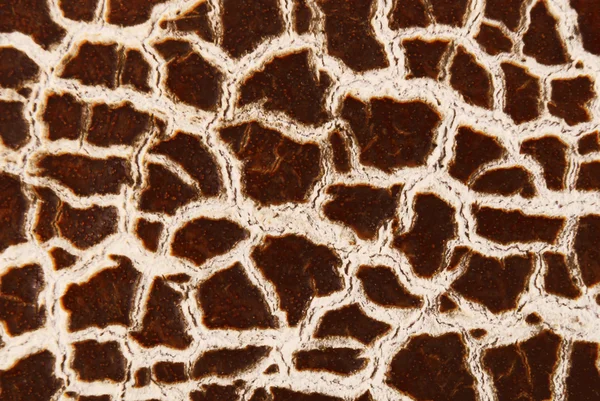 Cracky staré hnědé textury — Stock fotografie