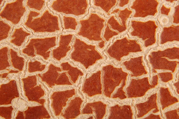 Cracky Staré Hnědé Textury Detail — Stock fotografie