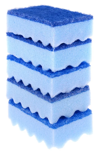 Cinco esponjas azuis — Fotografia de Stock