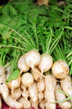 Ripe white radish root i clipart