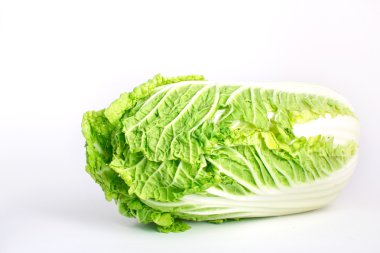 Juicy cabbage clipart