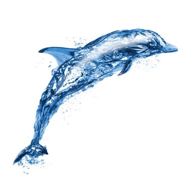 Jumping water dolphin, isolated on white background clipart