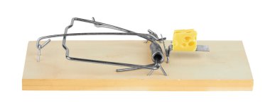 Mousetrap with cheese clipart