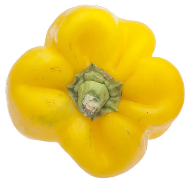 Ekologisk gul paprika — Stockfoto