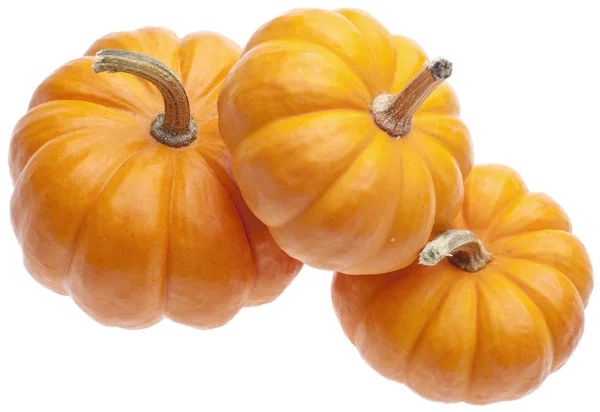 Festive Fall Pumpkins — Stock Photo, Image