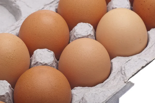 Karton brązowy jaja — Zdjęcie stockowe