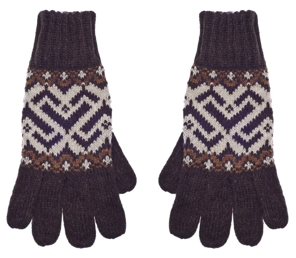 Paar braune Handschuhe — Stockfoto
