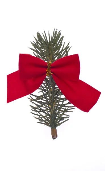 Pine tak met een rode strik — Stockfoto