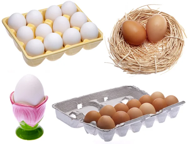 Varietà di uova — Foto Stock