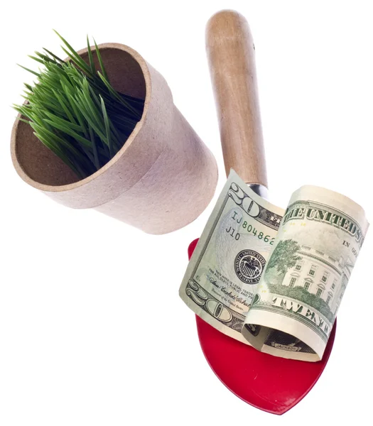 Growing Money Concept — Stock Photo, Image