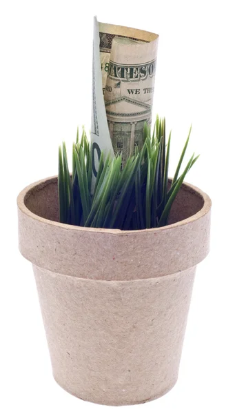 Growing Money Concept — Stock Photo, Image