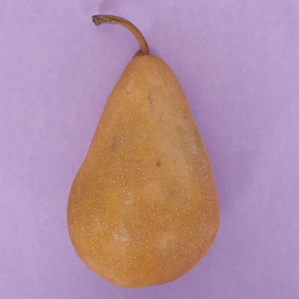 Pear on Vibrant Purple — Stock Photo, Image