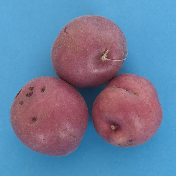 Trio di patate rosse — Foto Stock