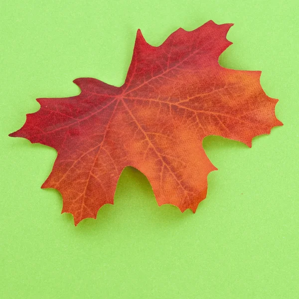 活気に満ちた緑の背景に秋の葉 — ストック写真