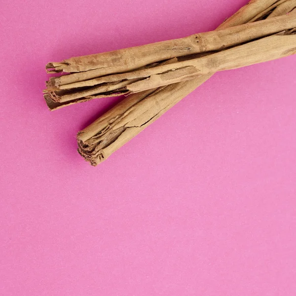 Cinnamon on Vibrant Pink — Stock Photo, Image