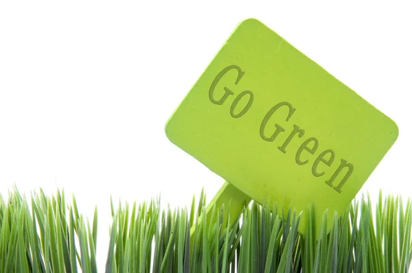 Ga groen aanmelden in verse gras — Stockfoto
