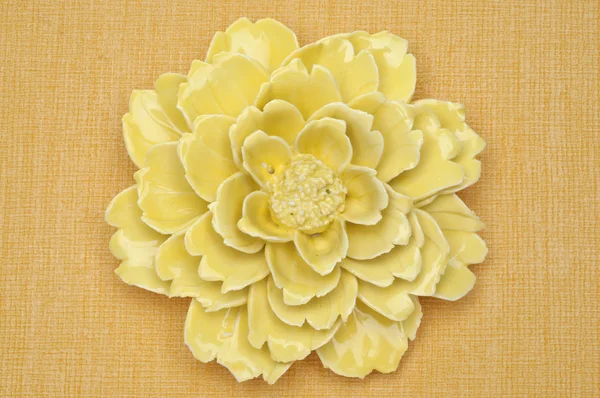 Żółty kwiat ozdobny — Zdjęcie stockowe