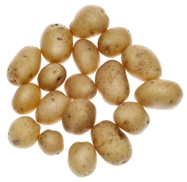 Fingerlinga ziemniaki — Zdjęcie stockowe