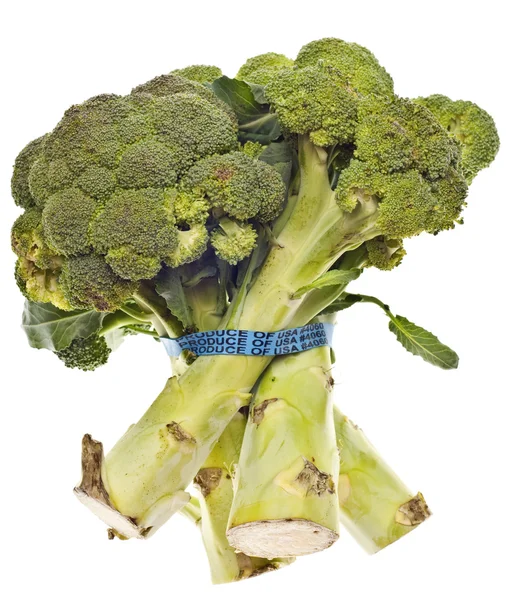Gezonde broccoli stengels — Stockfoto