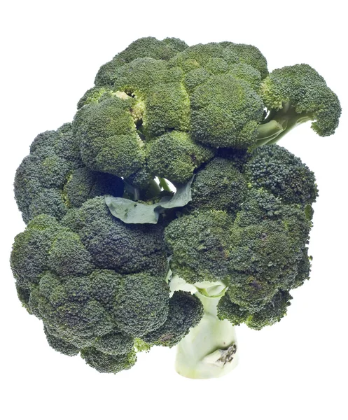 Gesunde Brokkoli-Stiele — Stockfoto