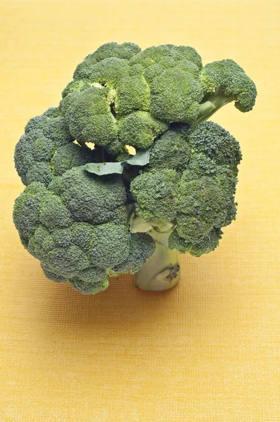 Zdravá brokolice stopky — Stock fotografie