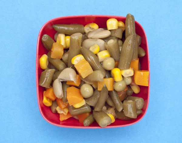 Tazón vibrante de verduras mixtas — Foto de Stock
